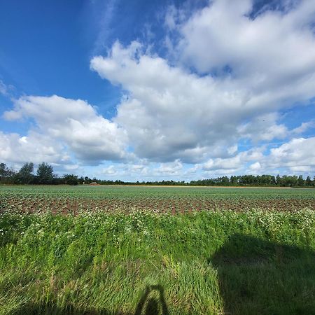 Huisje Mina Vrouwenpolder Zewnętrze zdjęcie